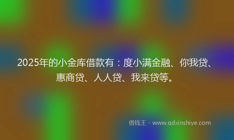 2025年的小金库借款有：度小满金融、你我贷、惠商贷、人人贷、我来贷等。