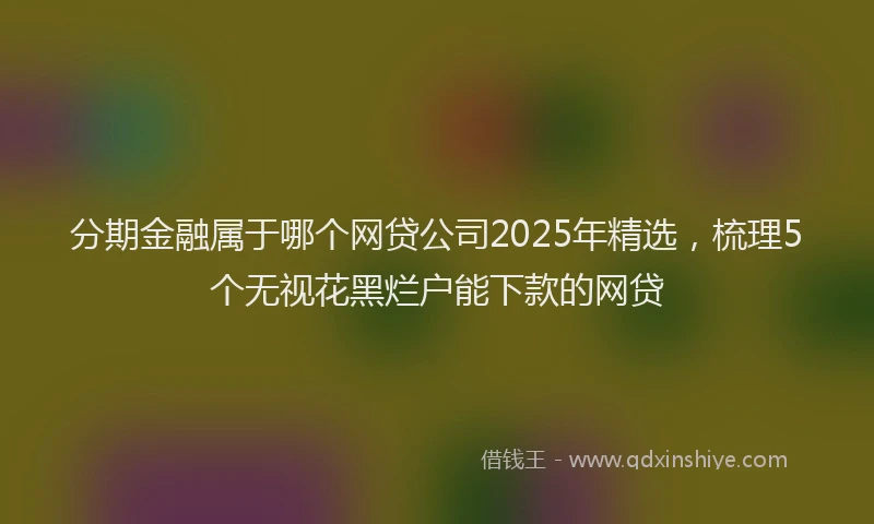 分期金融属于哪个网贷公司2025年精选，梳理5个无视花黑烂户能下款的网贷