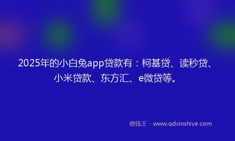 2025年的小白兔app贷款有：柯基贷、读秒贷、小米贷款、东方汇、e微贷等。