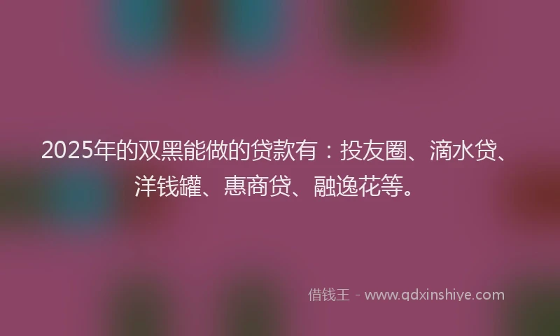 2025年的双黑能做的贷款有：投友圈、滴水贷、洋钱罐、惠商贷、融逸花等。