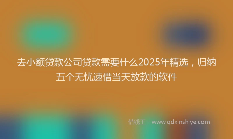 去小额贷款公司贷款需要什么2025年精选，归纳五个无忧速借当天放款的软件