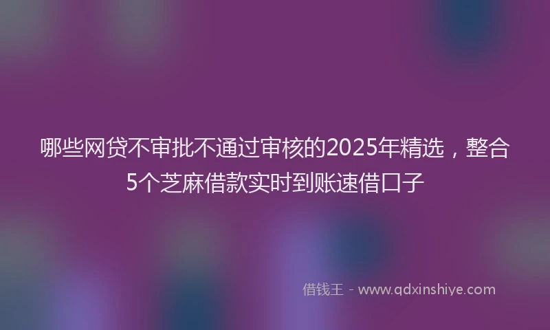 哪些网贷不审批不通过审核的2025年精选，整合5个芝麻借款实时到账速借口子