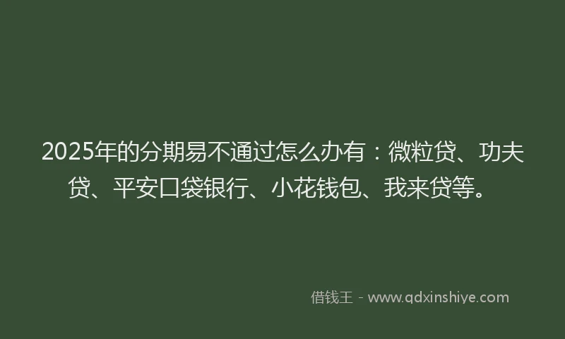 2025年的分期易不通过怎么办有：微粒贷、功夫贷、平安口袋银行、小花钱包、我来贷等。