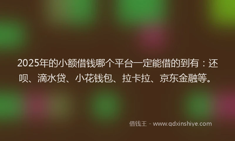 2025年的小额借钱哪个平台一定能借的到有：还呗、滴水贷、小花钱包、拉卡拉、京东金融等。