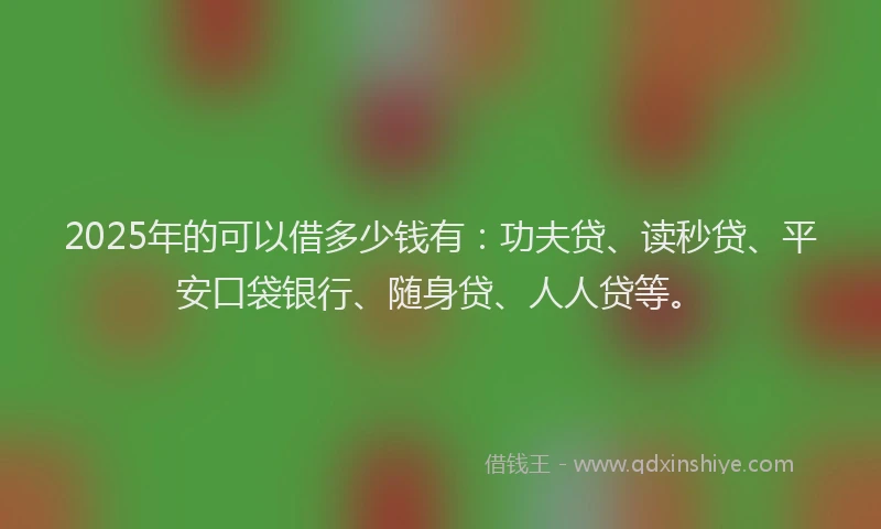 2025年的可以借多少钱有：功夫贷、读秒贷、平安口袋银行、随身贷、人人贷等。