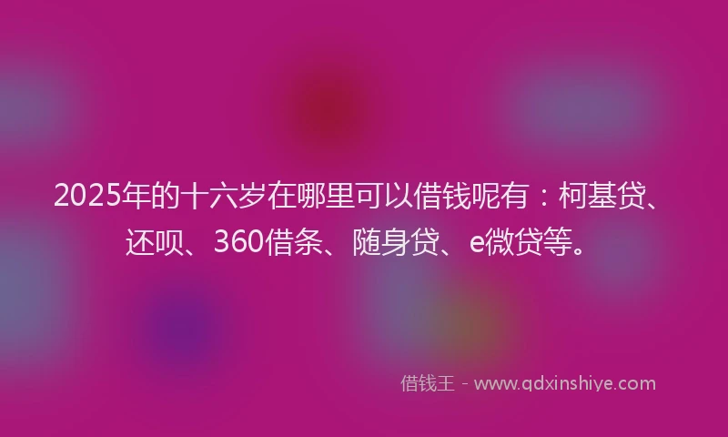 2025年的十六岁在哪里可以借钱呢有：柯基贷、还呗、360借条、随身贷、e微贷等。