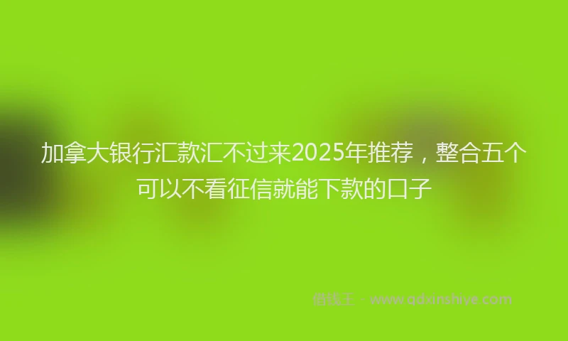 加拿大银行汇款汇不过来2025年推荐，整合五个可以不看征信就能下款的口子