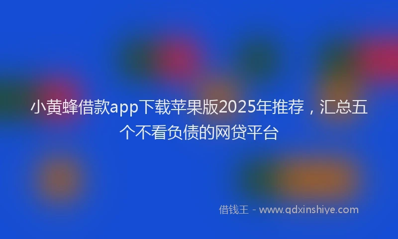 小黄蜂借款app下载苹果版2025年推荐，汇总五个不看负债的网贷平台
