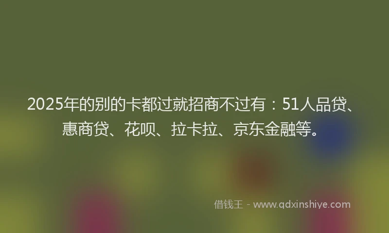 2025年的别的卡都过就招商不过有：51人品贷、惠商贷、花呗、拉卡拉、京东金融等。