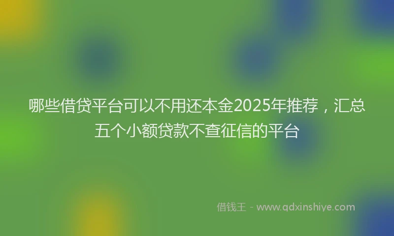 哪些借贷平台可以不用还本金2025年推荐，汇总五个小额贷款不查征信的平台