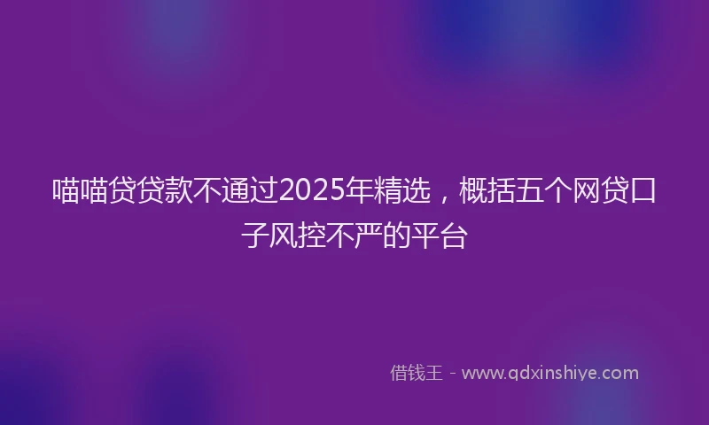 喵喵贷贷款不通过2025年精选，概括五个网贷口子风控不严的平台
