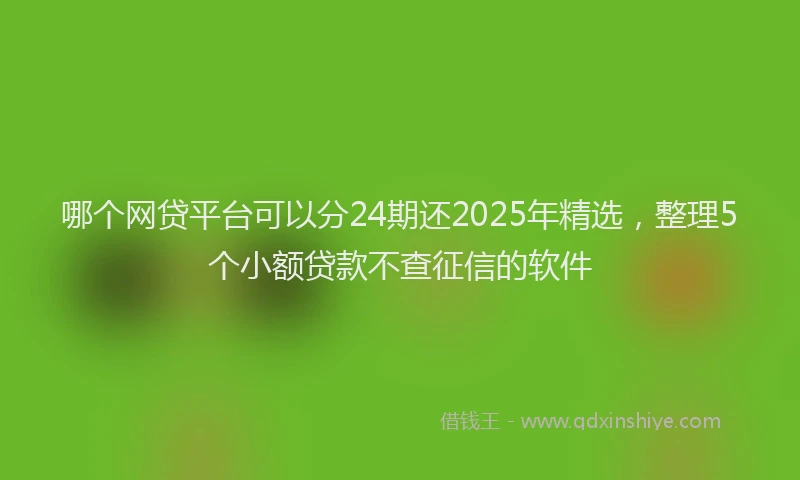哪个网贷平台可以分24期还2025年精选，整理5个小额贷款不查征信的软件