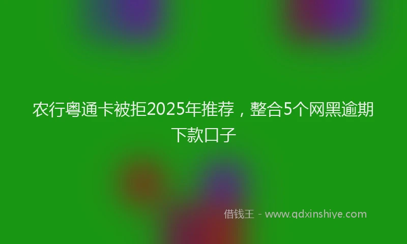 农行粤通卡被拒2025年推荐，整合5个网黑逾期下款口子