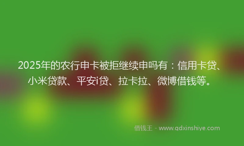 2025年的农行申卡被拒继续申吗有：信用卡贷、小米贷款、平安i贷、拉卡拉、微博借钱等。