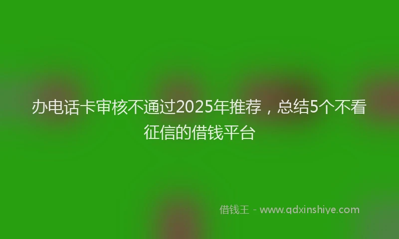 办电话卡审核不通过2025年推荐，总结5个不看征信的借钱平台
