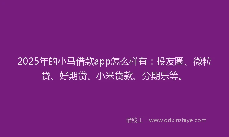 2025年的小马借款app怎么样有：投友圈、微粒贷、好期贷、小米贷款、分期乐等。