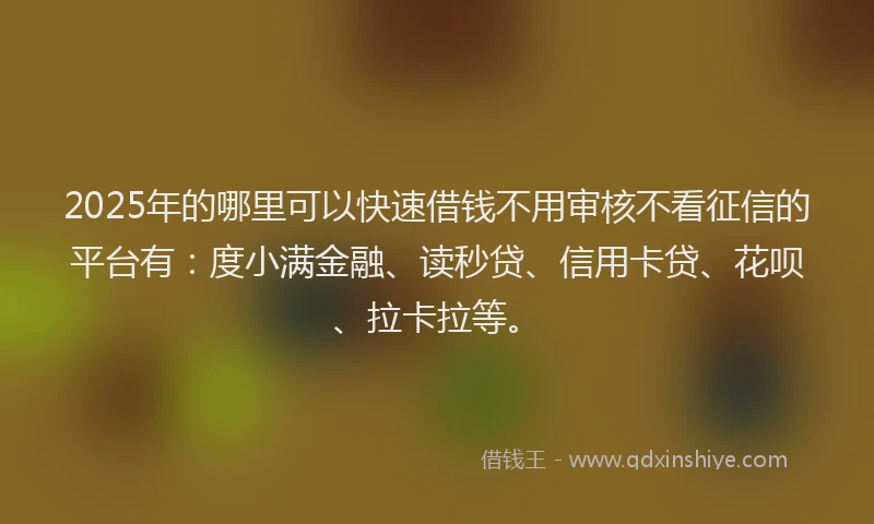 2025年的哪里可以快速借钱不用审核不看征信的平台有：度小满金融、读秒贷、信用卡贷、花呗、拉卡拉等。