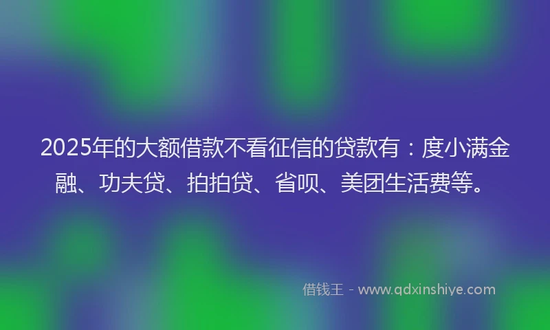 2025年的大额借款不看征信的贷款有：度小满金融、功夫贷、拍拍贷、省呗、美团生活费等。