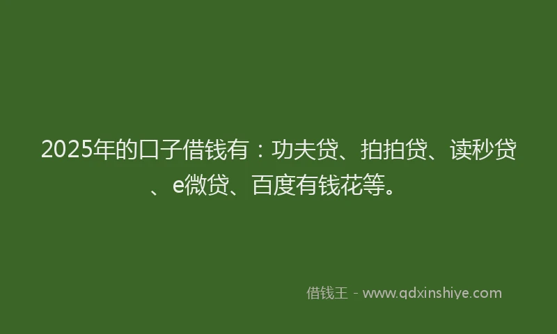 2025年的口子借钱有：功夫贷、拍拍贷、读秒贷、e微贷、百度有钱花等。