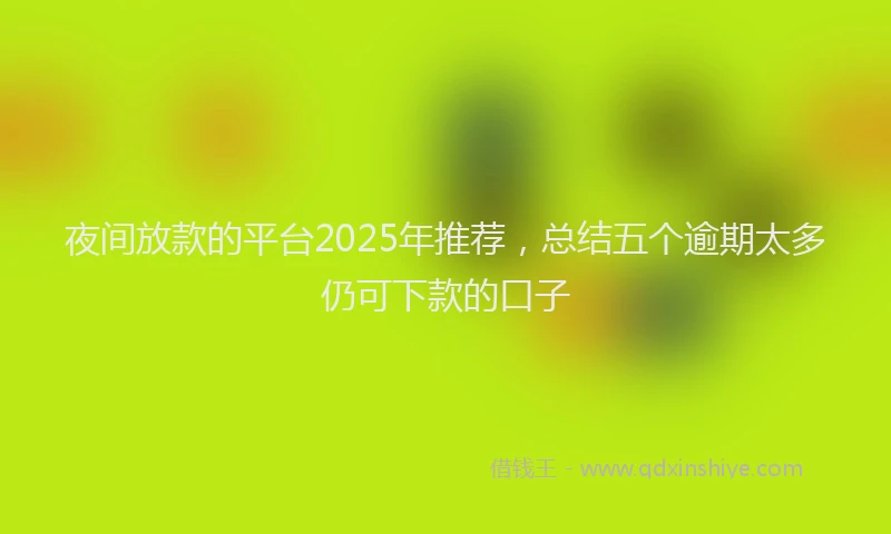 夜间放款的平台2025年推荐，总结五个逾期太多仍可下款的口子