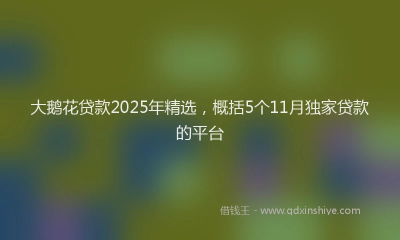 大鹅花贷款2025年精选，概括5个11月独家贷款的平台