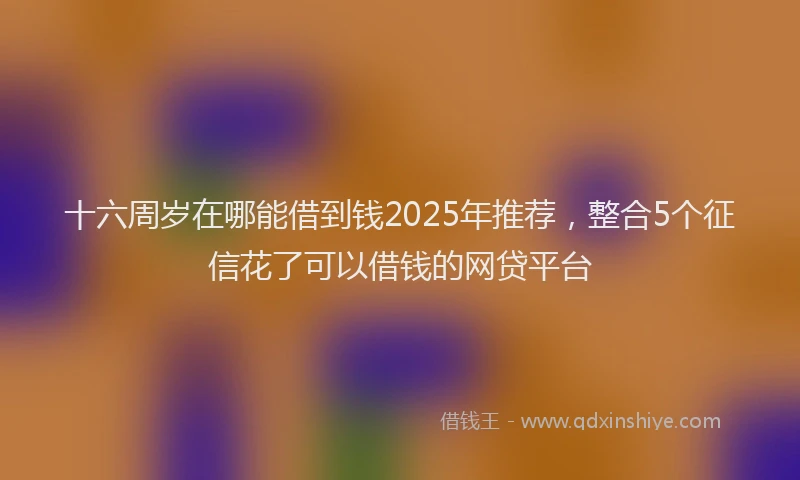 十六周岁在哪能借到钱2025年推荐，整合5个征信花了可以借钱的网贷平台