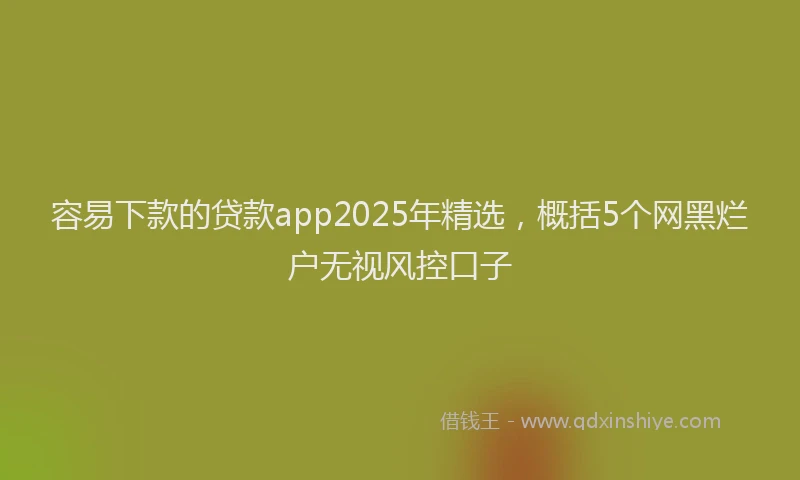 容易下款的贷款app2025年精选，概括5个网黑烂户无视风控口子
