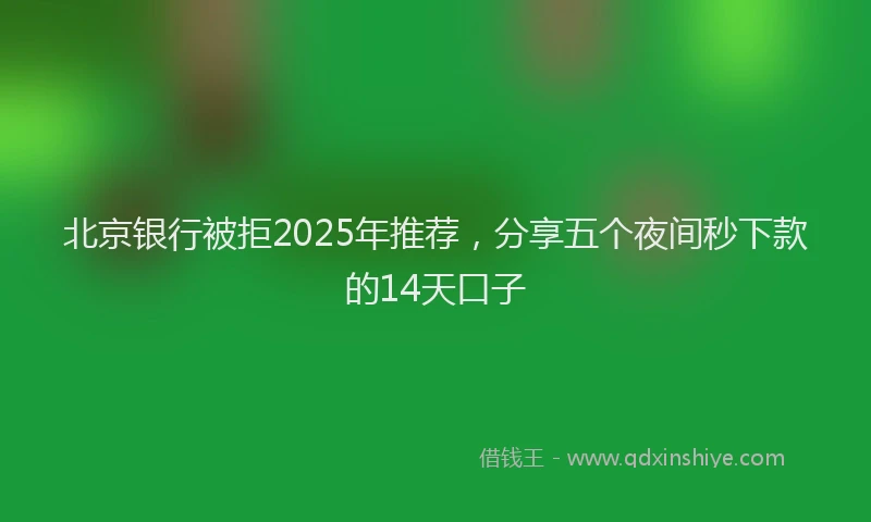 北京银行被拒2025年推荐，分享五个夜间秒下款的14天口子