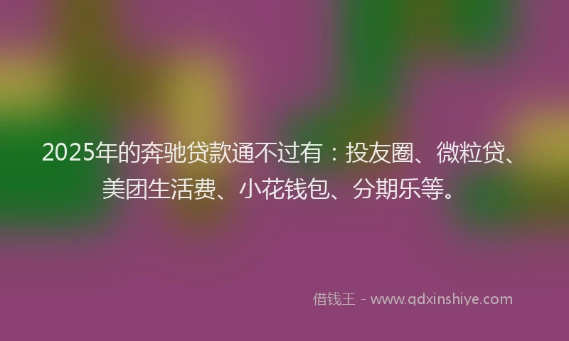2025年的奔驰贷款通不过有：投友圈、微粒贷、美团生活费、小花钱包、分期乐等。