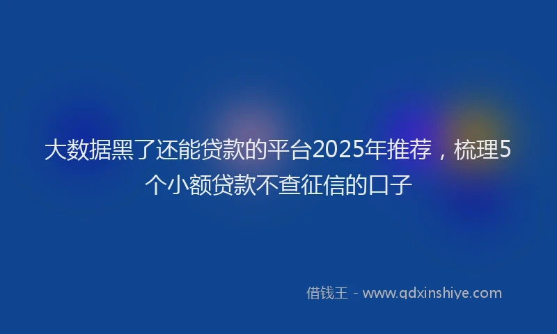 大数据黑了还能贷款的平台2025年推荐，梳理5个小额贷款不查征信的口子