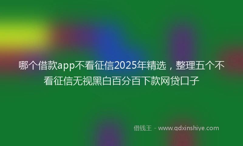哪个借款app不看征信2025年精选，整理五个不看征信无视黑白百分百下款网贷口子