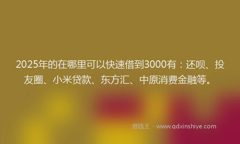 2025年的在哪里可以快速借到3000有：还呗、投友圈、小米贷款、东方汇、中原消费金融等。