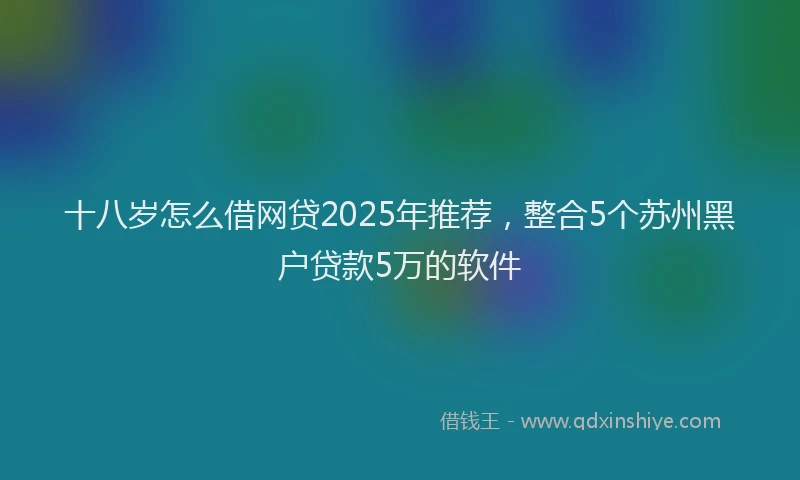 十八岁怎么借网贷2025年推荐，整合5个苏州黑户贷款5万的软件