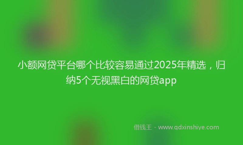 小额网贷平台哪个比较容易通过2025年精选，归纳5个无视黑白的网贷app