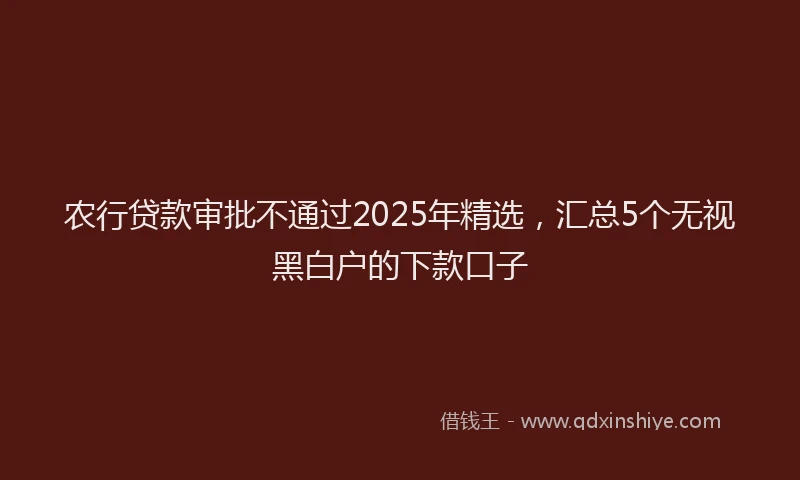 农行贷款审批不通过2025年精选，汇总5个无视黑白户的下款口子
