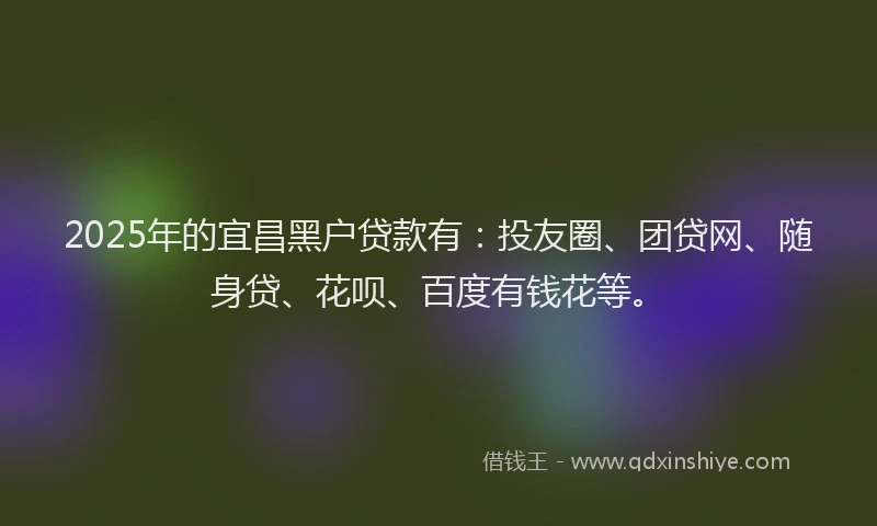 2025年的宜昌黑户贷款有：投友圈、团贷网、随身贷、花呗、百度有钱花等。