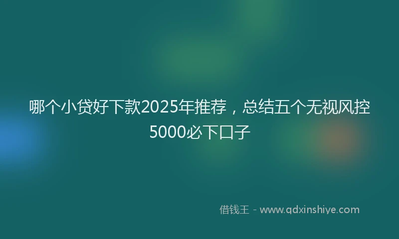 哪个小贷好下款2025年推荐，总结五个无视风控5000必下口子