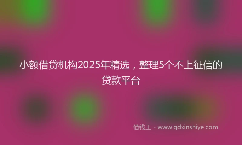 小额借贷机构2025年精选，整理5个不上征信的贷款平台
