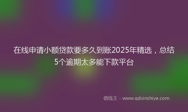 在线申请小额贷款要多久到账2025年精选，总结5个逾期太多能下款平台