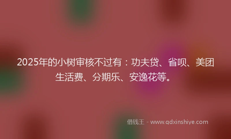 2025年的小树审核不过有：功夫贷、省呗、美团生活费、分期乐、安逸花等。