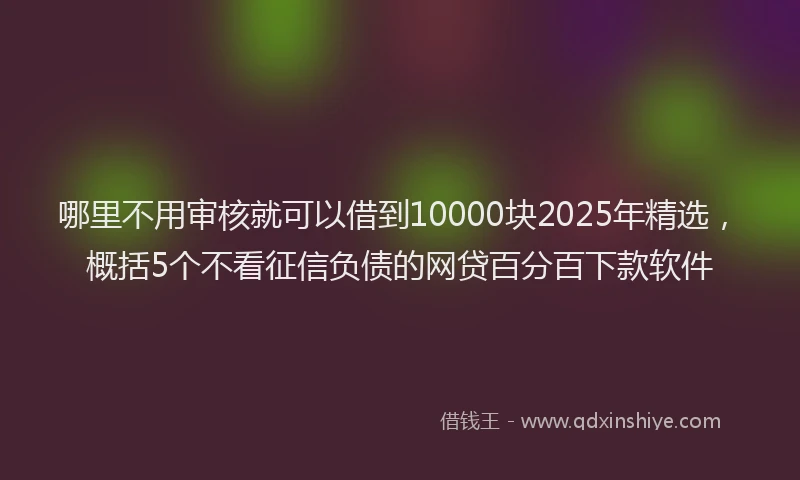 哪里不用审核就可以借到10000块2025年精选，概括5个不看征信负债的网贷百分百下款软件