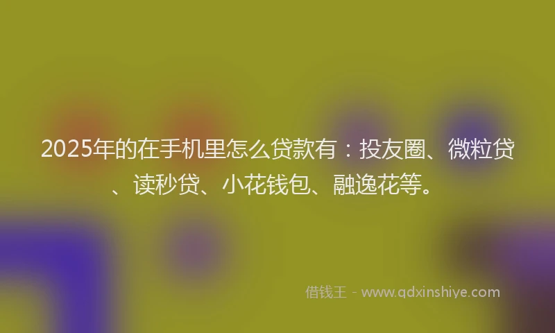 2025年的在手机里怎么贷款有：投友圈、微粒贷、读秒贷、小花钱包、融逸花等。