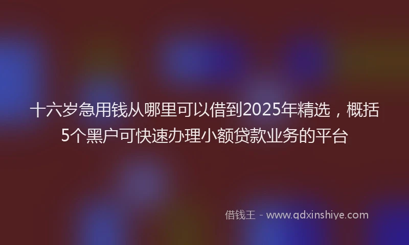 十六岁急用钱从哪里可以借到2025年精选，概括5个黑户可快速办理小额贷款业务的平台