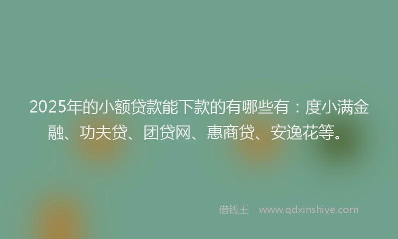 2025年的小额贷款能下款的有哪些有：度小满金融、功夫贷、团贷网、惠商贷、安逸花等。