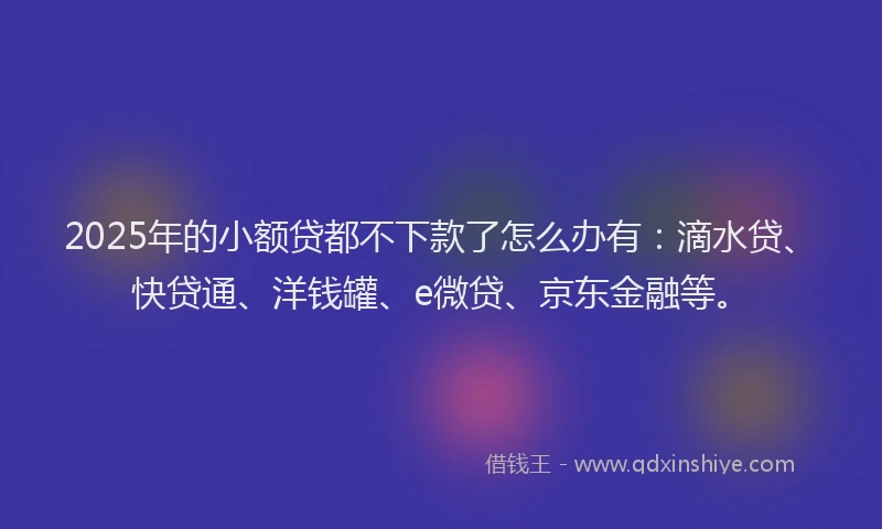 2025年的小额贷都不下款了怎么办有：滴水贷、快贷通、洋钱罐、e微贷、京东金融等。