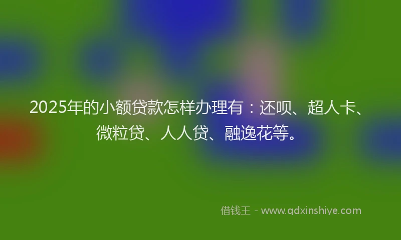2025年的小额贷款怎样办理有：还呗、超人卡、微粒贷、人人贷、融逸花等。