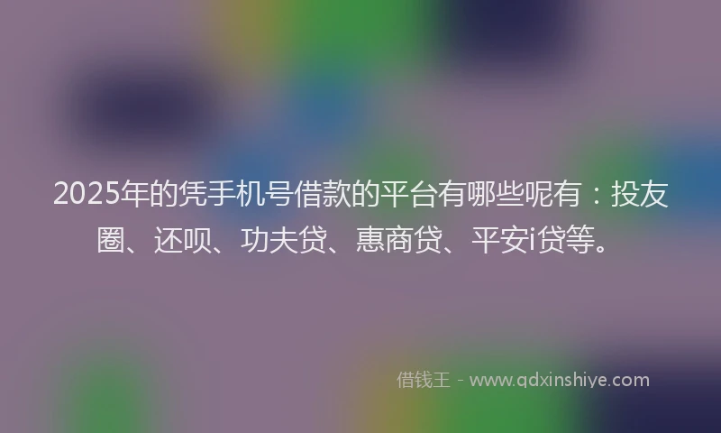 2025年的凭手机号借款的平台有哪些呢有：投友圈、还呗、功夫贷、惠商贷、平安i贷等。