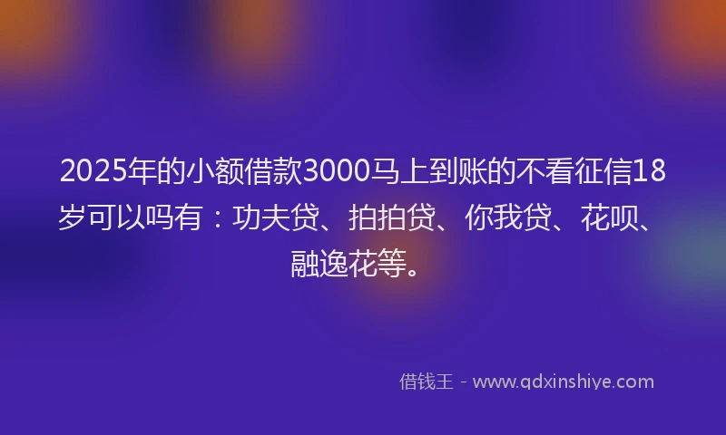 2025年的小额借款3000马上到账的不看征信18岁可以吗有：功夫贷、拍拍贷、你我贷、花呗、融逸花等。