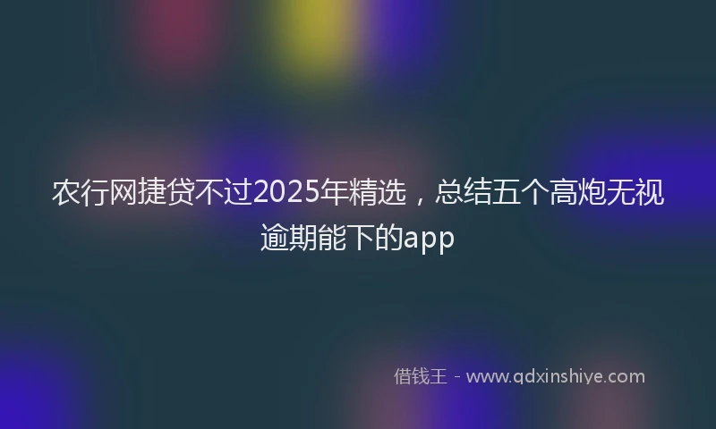 农行网捷贷不过2025年精选，总结五个高炮无视逾期能下的app