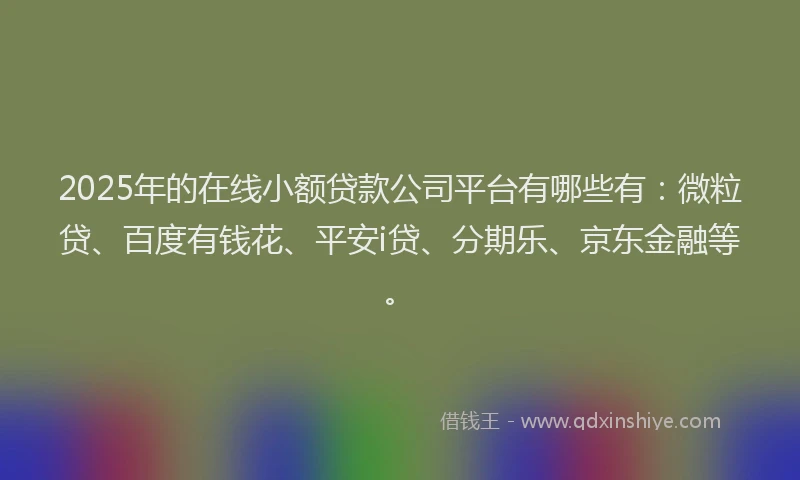 2025年的在线小额贷款公司平台有哪些有：微粒贷、百度有钱花、平安i贷、分期乐、京东金融等。